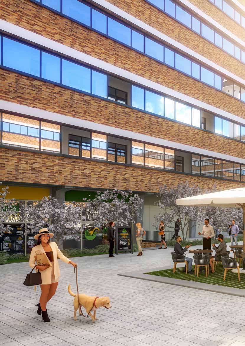 Innenhof mit Kirschblüten