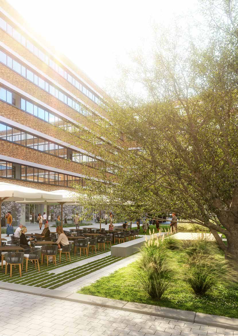 Terrasse und Grünflächen im Quartier